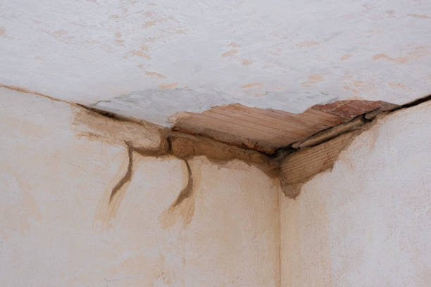 Trusted Harlingen, TX Water damage restoration Experts