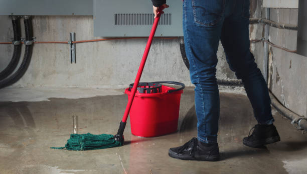 Best Local water damage restoration  in Harlingen, TX
