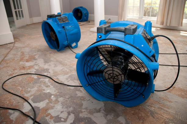 Water damage restoration mold remediation in Harlingen, TX