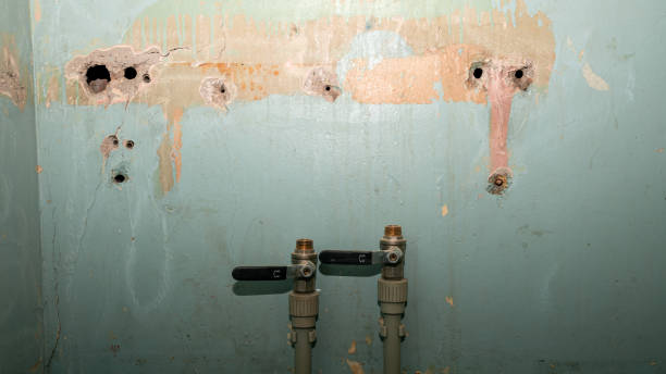 Best 24/7 water damage repair  in Harlingen, TX