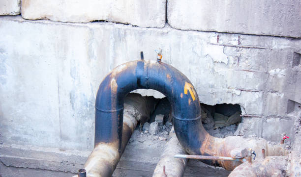 Best Water damage restoration near me  in Harlingen, TX